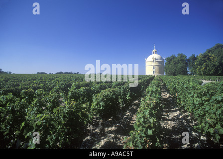 VIGNOBLE CHÂTEAU LATOUR ROTHSCHILD PAUILLAC GIRONDE FRANCE Banque D'Images