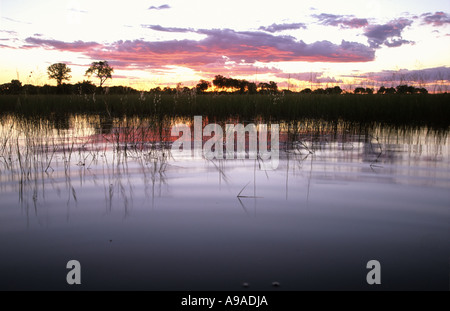 Marais de Linyanti, Caprivi occidental, Afrique du Sud Banque D'Images