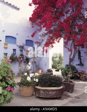 Bougainvillée rouge sur le mur et le blanc et rose géraniums en pots en cour tranquille de villa en espagnol Banque D'Images