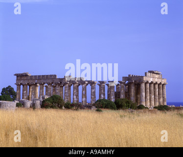 Ruines GRECQUES TEMPLE E SELINUNTE Sicile Italie Banque D'Images