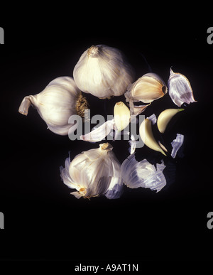 Bouquet de gousses d'AIL BULBES SUR FOND NOIR Banque D'Images