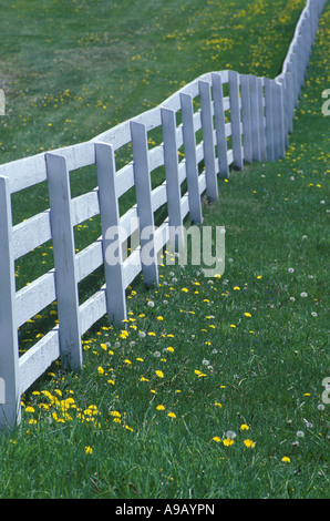 Clôture EN BOIS BLANC Banque D'Images
