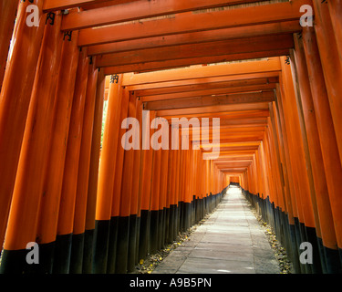 Portes TORII chemin Fushimi Inari TAISHA JAPON HONSHU KYOTO Banque D'Images