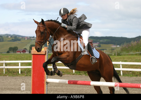 Cheval et cavalier jumping fence Banque D'Images