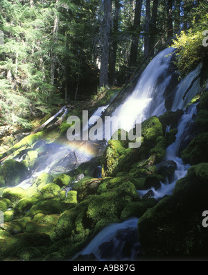 Chutes d'UMPQUA RIVER SCENIC CLEARWATER Florida USA Banque D'Images