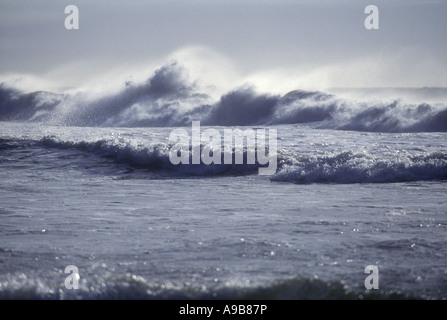 Les vagues de tempêtes en mer Banque D'Images