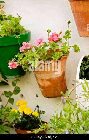 Pots en terre cuite et les contenants avec des géraniums roses et rouges dans la ville méditerranéenne de Vejer de la Frontera Espagne Andalousie Banque D'Images