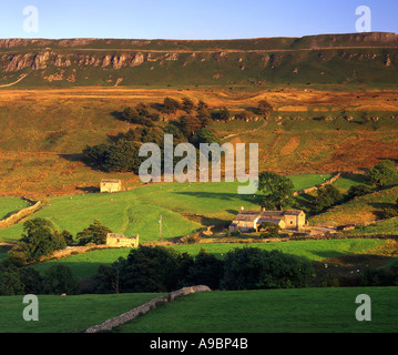 Lumière du soir sur la ferme, Dalehead Bishopdale, Yorkshire Dales National Park, England, UK Banque D'Images