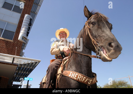 Sheriff à cheval, de l'Immigration rally, Dallas, Texas, USA Banque D'Images