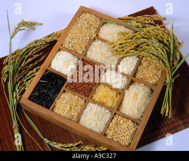 Assortiment de riz Banque D'Images