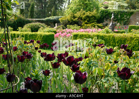 Le festival des tulipes à Pashley Manor Gardens dans l'East Sussex. Banque D'Images