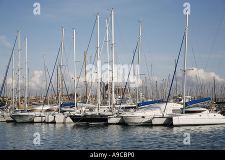 Certains de plaisance dans le port de Palma avec La Seu la cathédrale en arrière-plan Banque D'Images