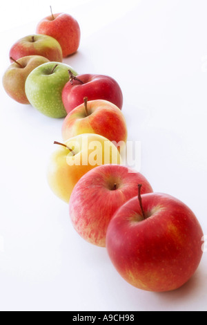 Diverses pommes Banque D'Images