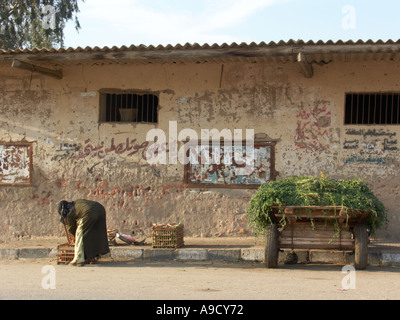 Les villageois dans El Bawati Bahariya ouest de l'Egypte Banque D'Images