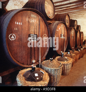 Barils de vin de Madère dans une cave à Blandy's Wine Lodge, Funchal, Madeira, Portugal Banque D'Images