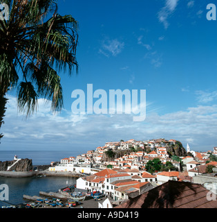 La côte sud, village de pêcheurs de Camara de Lobos (où Winston Churchill utilisé pour la peinture), Madeira, Portugal Banque D'Images