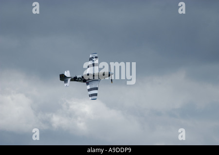 P51D Mustang Banque D'Images