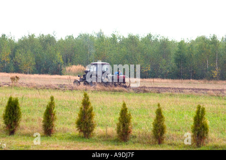 Les agriculteurs de planter des graines dans le domaine agricole avec le tracteur. Zawady Pologne Banque D'Images