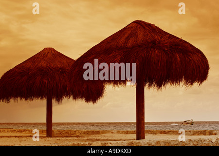 Des parasols de paille sur la plage des Caraïbes, Cozumel, Mexique Banque D'Images