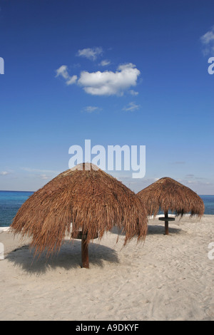 Des parasols de paille sur la plage des Caraïbes, Cozumel, Mexique Banque D'Images