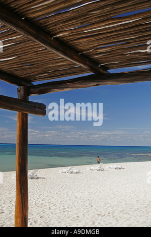 Plage des Caraïbes , Cozumel, Mexique Banque D'Images