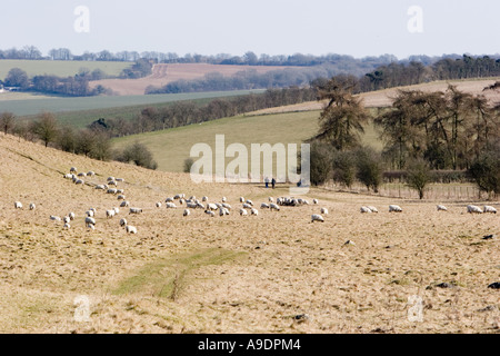 Vue sur Fyfield près de Marlborough dans le Wiltshire Banque D'Images