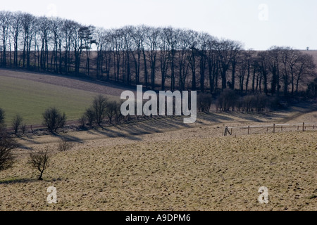 Vue sur Fyfield près de Marlborough dans le Wiltshire Banque D'Images