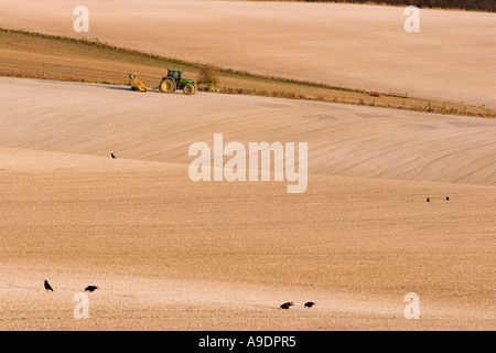 Le ratissage du tracteur dans le champ du sol crayeux Banque D'Images