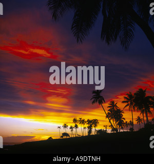 La côte ouest spectaculaire coucher de soleil avec des palmiers inclinés en silhouette sur l'île de Tanna dans l'archipel de Vanuatu dans le Pacifique Sud Banque D'Images