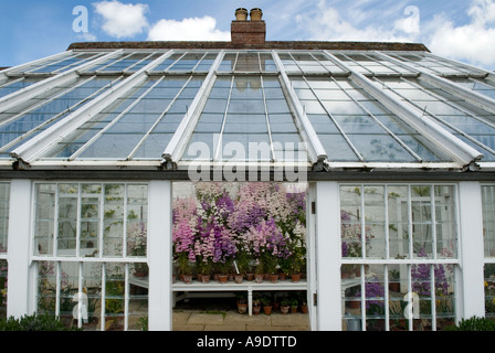 Audley End House près de Saffron Walden Essex en Angleterre. Le bâtiment victorien restauré des serres et des jardins du cottage. Banque D'Images