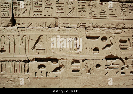 Hieroglphics sur les murs du Grand Temple d'Amon Re Egypte Karnak Banque D'Images