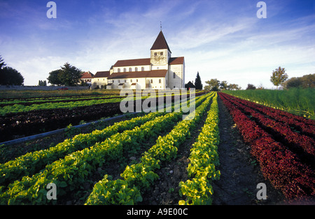 St Georg Schwanenburg à Oberzell Reichenau Lac de Constance Bodensee Allemagne Banque D'Images