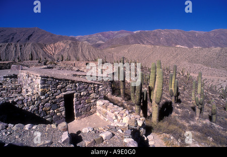 Pucará de Tilcara, Quebrada de Humahuaca, Province de Jujuy, Argentine Banque D'Images