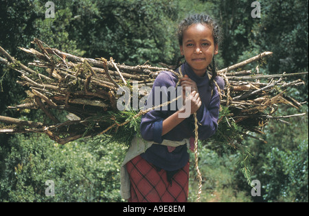 Jolie jeune fille transporter le bois Forêt Chalima Ethiopie Banque D'Images