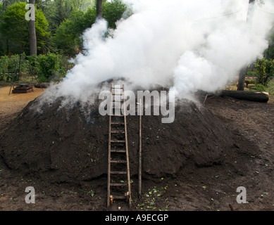 L'échelle d'un brûleur à charbon de bois penche contre la pile dans laquelle le charbon de bois est produit. Un tas de bois recouvert de sol humus produit du charbon de bois. Cela se fait traditionnellement dans les forêts de l'Allemagne Banque D'Images