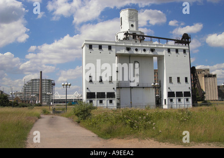 L'ancien silo à grains Pontoon Dock, Royal Victoria Dock, London Canning Town. Banque D'Images