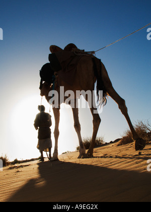 Trekking à travers le désert du Sahara Mauritanie Afrique de l'Ouest Banque D'Images