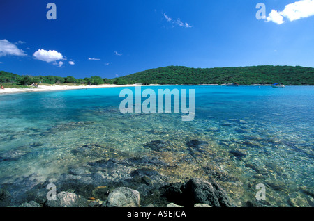 St John US Virgin Islands National Park Salt Pond Bay coral et l'eau claire Banque D'Images