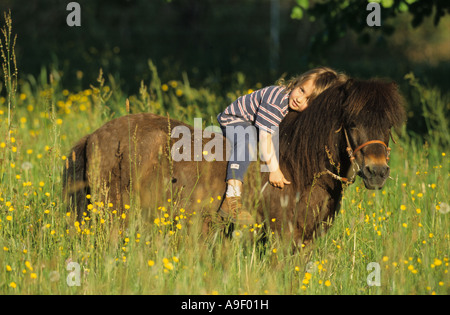 Petite fille portant sur le dos de son poney Shetland (Equus caballus) Banque D'Images