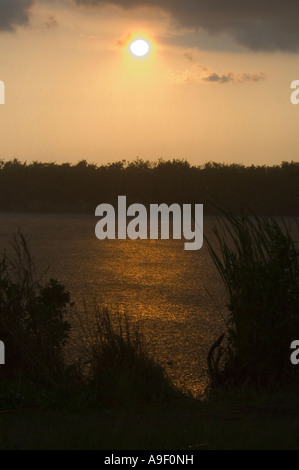 Coucher de soleil sur un lac Parc National des Everglades - Floride - USA Banque D'Images