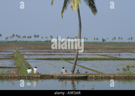 Les agriculteurs reste sous un palmier sur les bords entre les rizières et les Backwaters près de Alappuzha (Alleppey), Kerala, Inde du Sud Banque D'Images