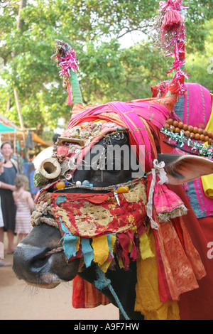 L'homme indien local avec une vache décorée au marché aux puces à Anjuna, le Sud de Goa, Inde Banque D'Images