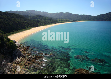 Plage de Totaranui dans Abel Tasman National Park avec les eaux turquoises cristallines de la baie de Tasman, île du Sud, Nouvelle-Zélande Banque D'Images