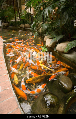 Les étangs de carpes à l'intérieur d'un centre commercial Utama à Bandar Utama Selangor près de Kuala Lumpur Banque D'Images