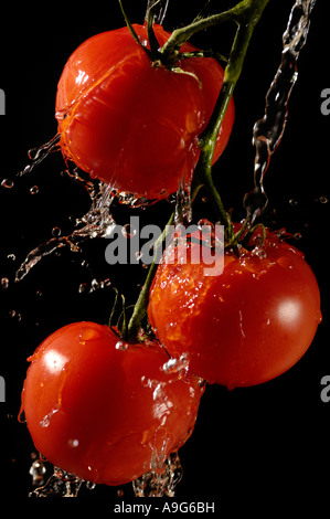 Les tomates rouges juteux frais dans un ruisseau de projections d'eau isolé sur black Banque D'Images