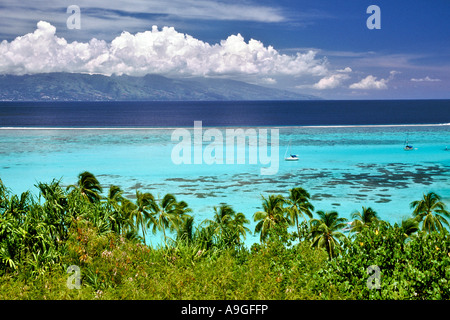 L'île de Moorea, Iles de la société Tahiti Iles de la société Moorea ...
