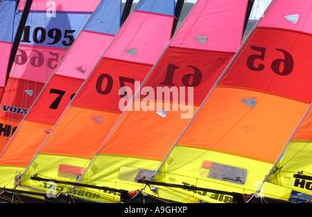 Dériveurs catamaran Hobie Cat au Weymouth et Portland International Sailing Academy Dorset England UK Banque D'Images