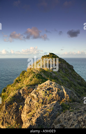 Pointe de la Grande Vigie, Grande Terre, Guadeloupe, French West Indies Banque D'Images