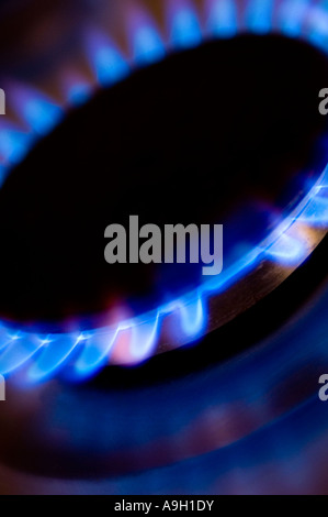 L'anneau de gaz allumé sur une branche d'une cuisinière vitrocéramique 4 DE 6 Banque D'Images