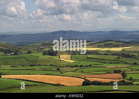 Paysage agricole français au moment de la récolte avec de petits champs bordés de haies de Cumbrie, montagnes en arrière-plan du bord de Kirby Moor Cumbria Banque D'Images